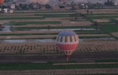 Lưu bản nháp tự động