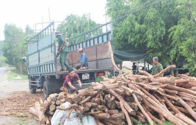 Lưu bản nháp tự động